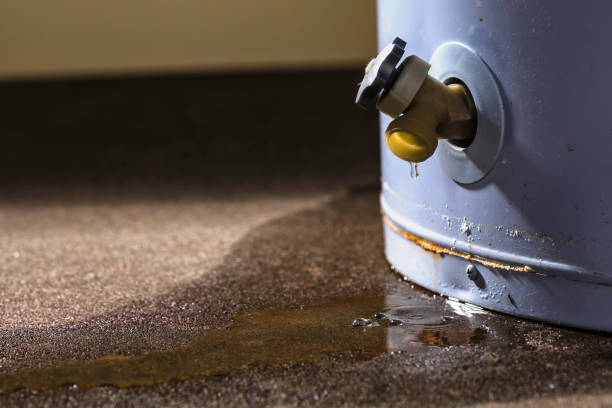 Best Flood damage cleanup  in Thurmont, MD