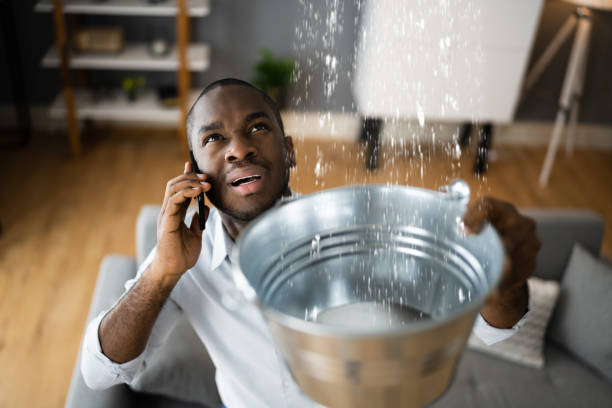 Best Water damage mitigation services  in Thurmont, MD