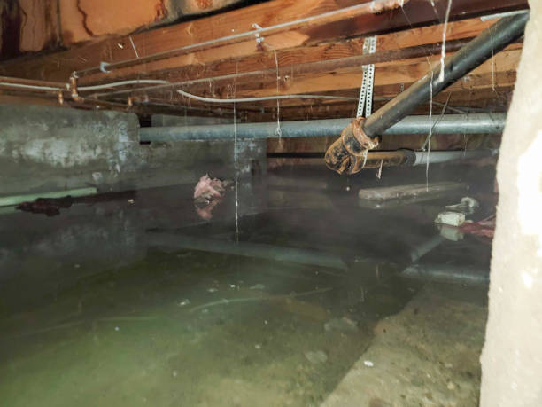 Best Flood restoration services  in Thurmont, MD