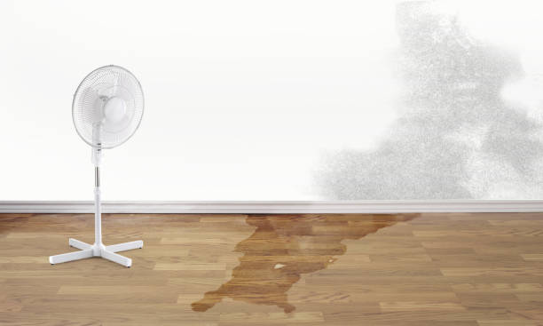 Best Residential water damage restoration  in Thurmont, MD