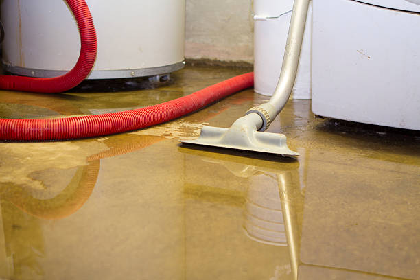Best 24/7 water damage repair  in Thurmont, MD