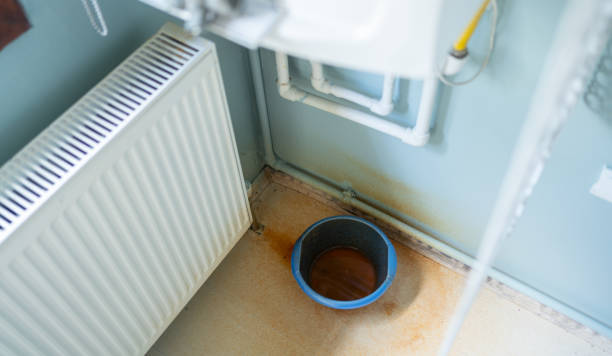 Best Water damage cleanup near me  in Thurmont, MD