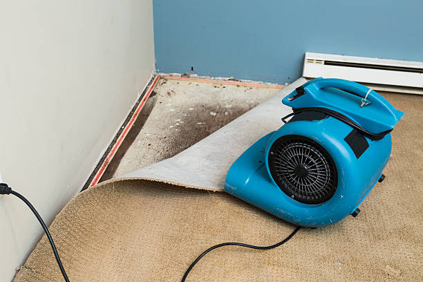 Best Water damage restoration near me  in Thurmont, MD